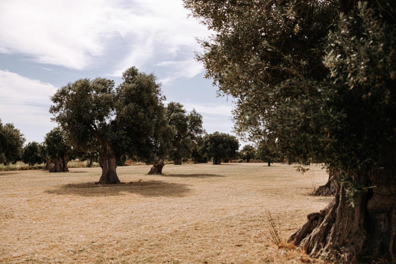 Masseria Garrappa Fasano Eksteriør bilde