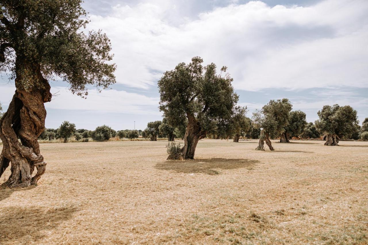 Masseria Garrappa Fasano Eksteriør bilde