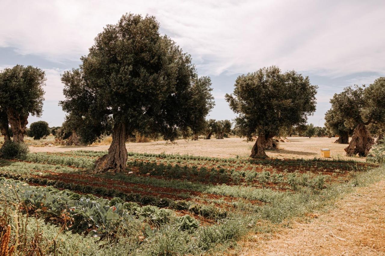 Masseria Garrappa Fasano Eksteriør bilde