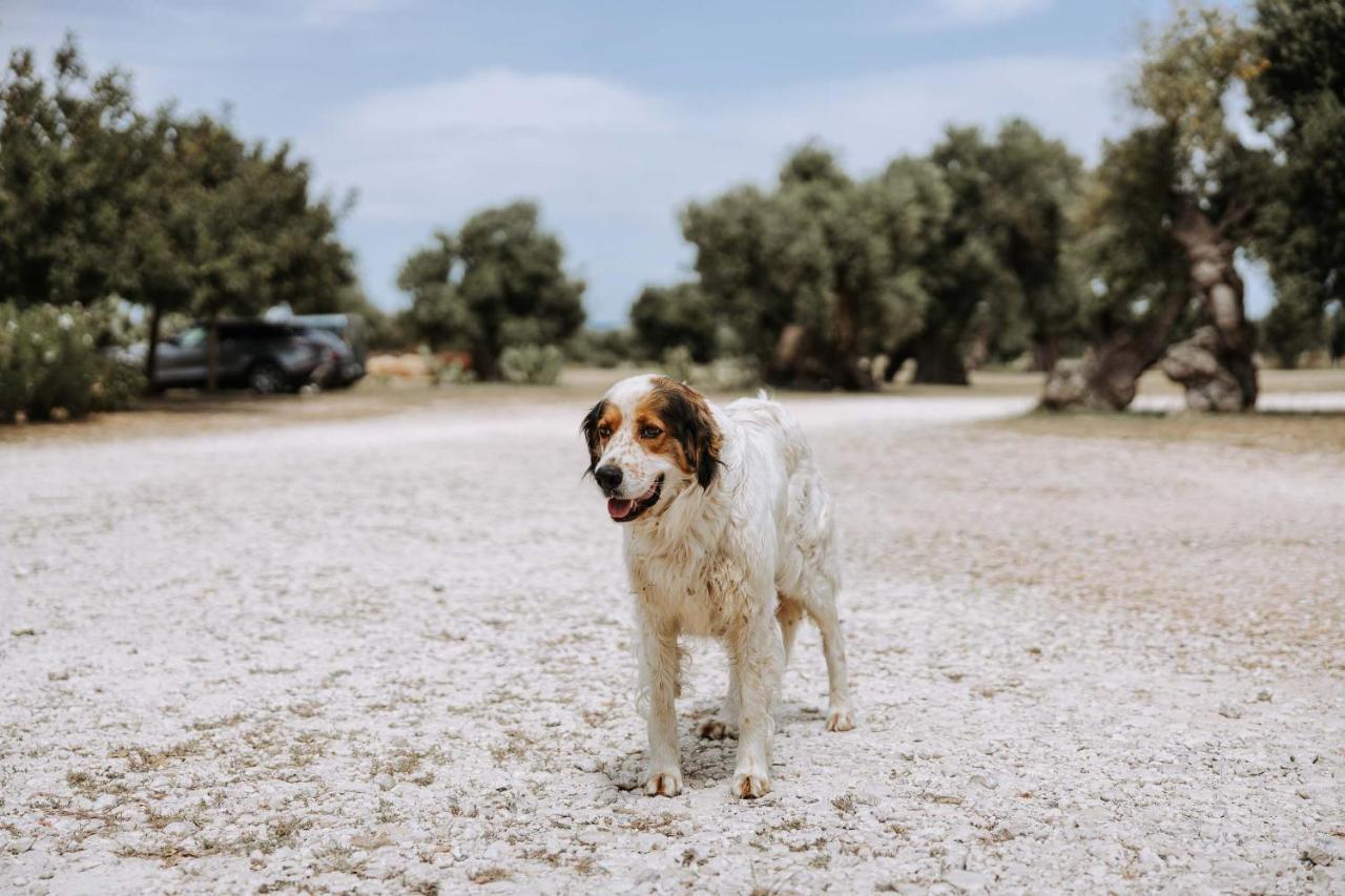Masseria Garrappa Fasano Eksteriør bilde